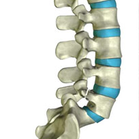 meniscus repair